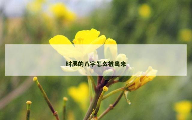 时辰的八字怎么推出来
