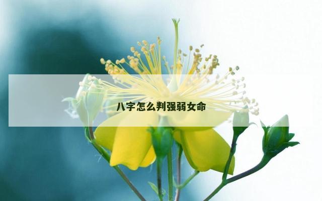 八字怎么判强弱女命