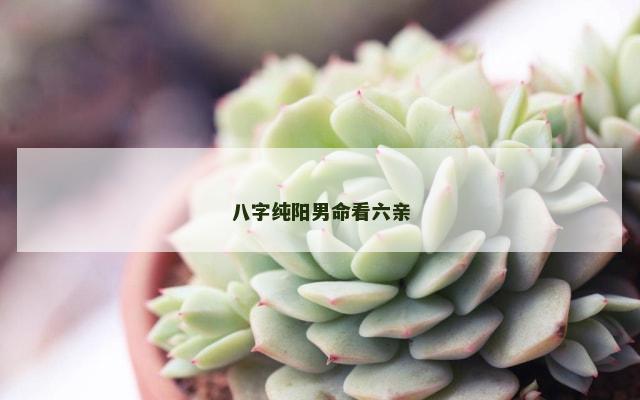 八字纯阳男命看六亲