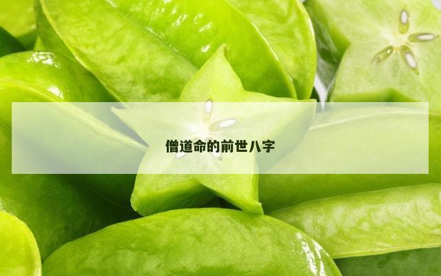 僧道命的前世八字