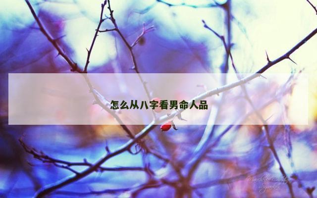 怎么从八字看男命人品