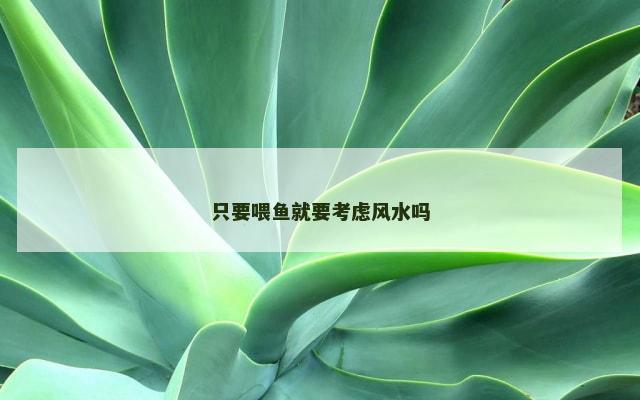 只要喂鱼就要考虑风水吗