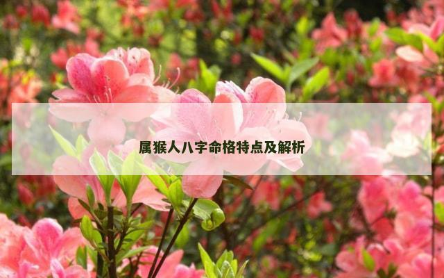 属猴人八字命格特点及解析