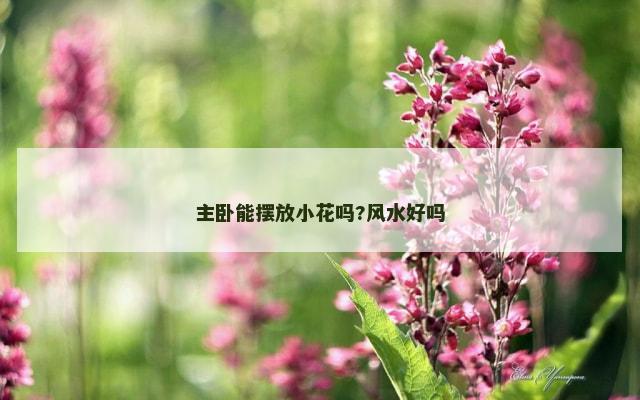 主卧能摆放小花吗?风水好吗