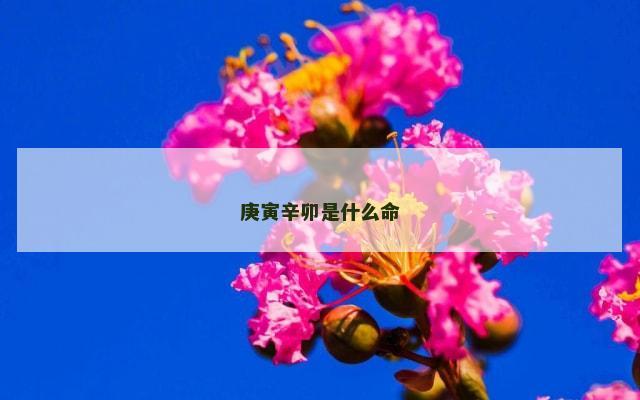 庚寅辛卯是什么命