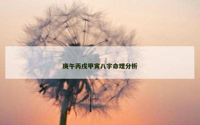 庚午丙戌甲寅八字命理分析