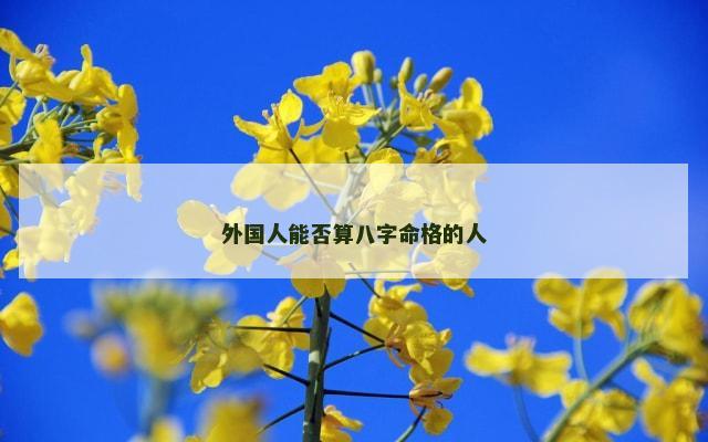 外国人能否算八字命格的人
