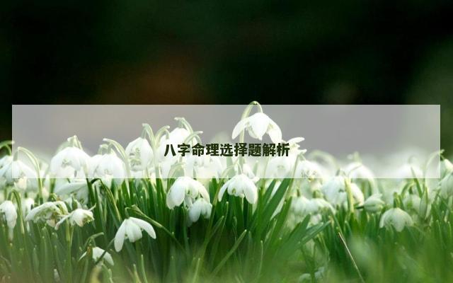 八字命理选择题解析