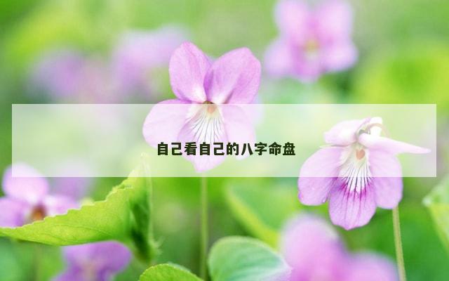 自己看自己的八字命盘