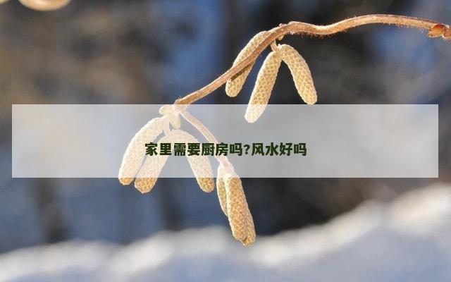 家里需要厨房吗?风水好吗