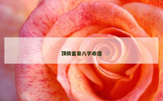 顶级富豪八字命造