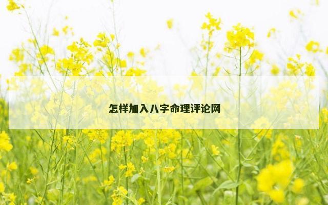 怎样加入八字命理评论网