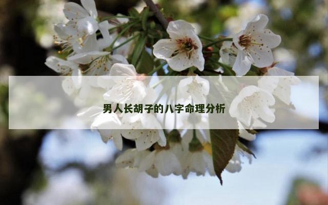 男人长胡子的八字命理分析