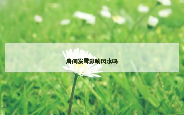 房间发霉影响风水吗