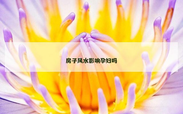 房子风水影响孕妇吗