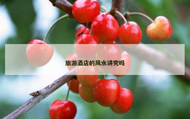 旅游酒店的风水讲究吗