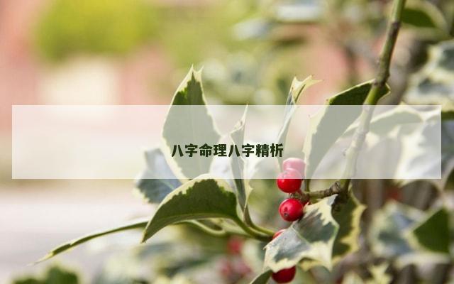 八字命理八字精析