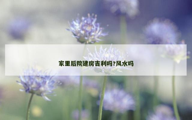 家里后院建房吉利吗?风水吗