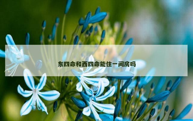东四命和西四命能住一间房吗