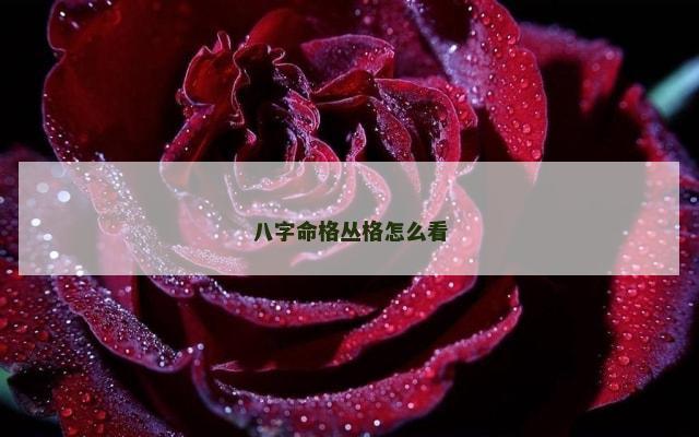 八字命格丛格怎么看