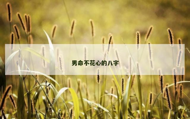 男命不花心的八字