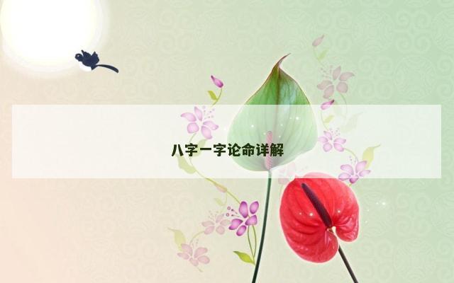 八字一字论命详解