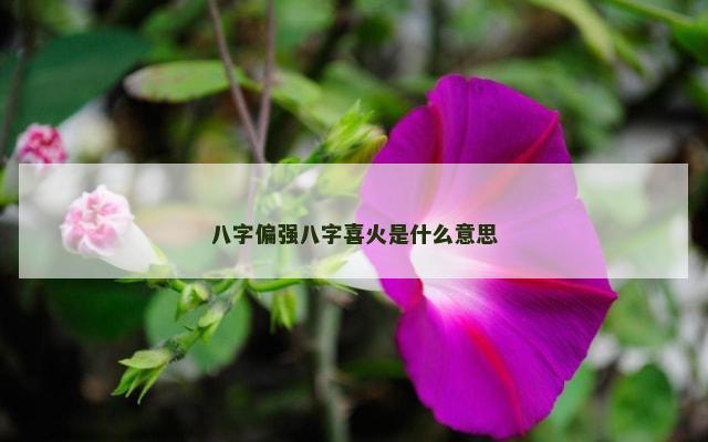 八字偏强八字喜火是什么意思