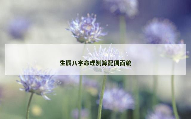 生辰八字命理测算配偶面貌
