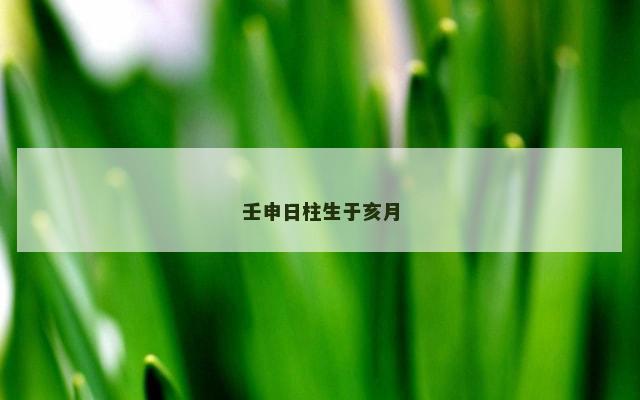 壬申日柱生于亥月