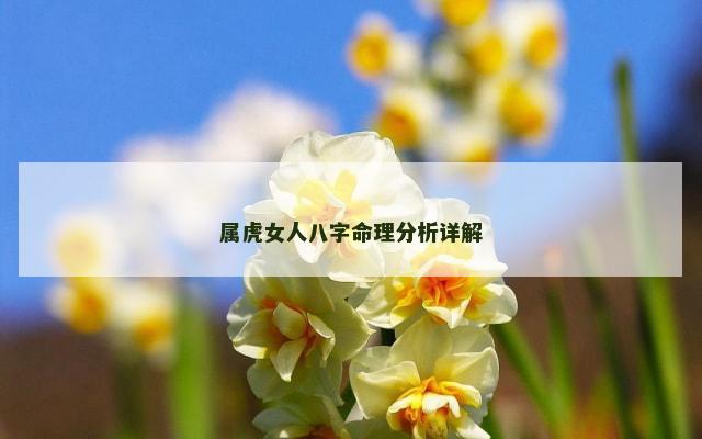 属虎女人八字命理分析详解