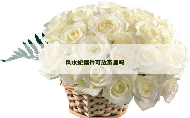 风水蛇摆件可放家里吗