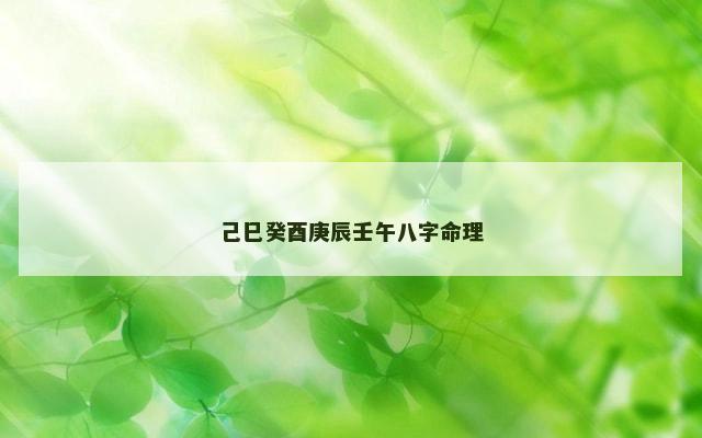 己巳癸酉庚辰壬午八字命理