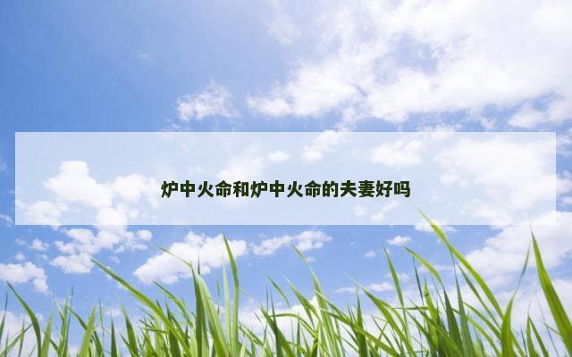 炉中火命和炉中火命的夫妻好吗