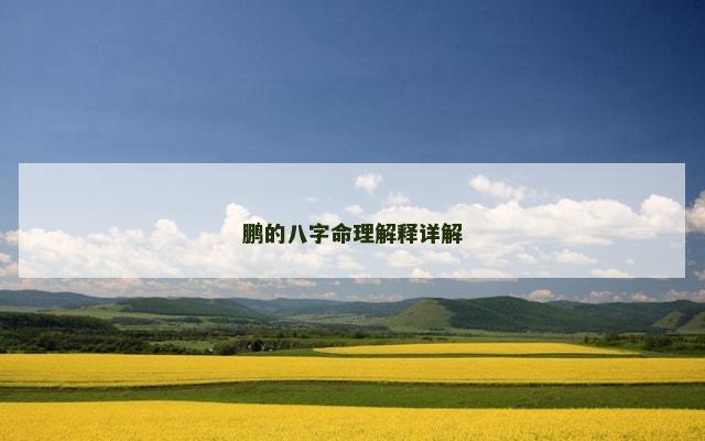 鹏的八字命理解释详解