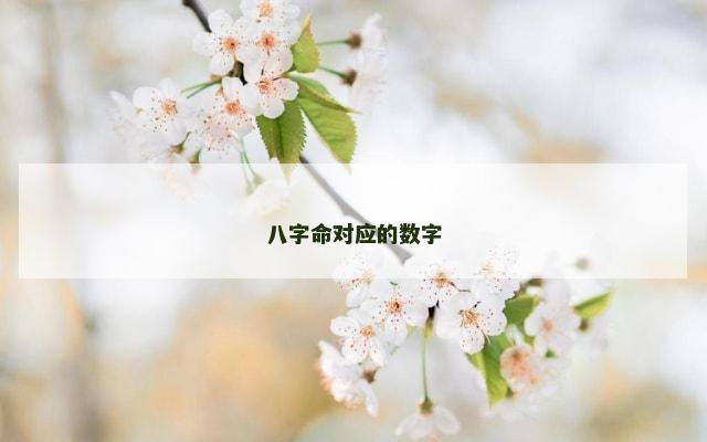 八字命对应的数字
