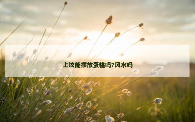 上坟能摆放蛋糕吗?风水吗