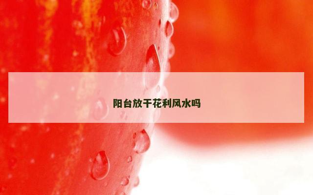阳台放干花利风水吗