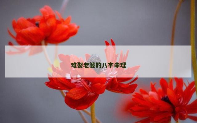 难娶老婆的八字命理