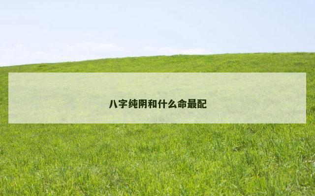 八字纯阴和什么命最配