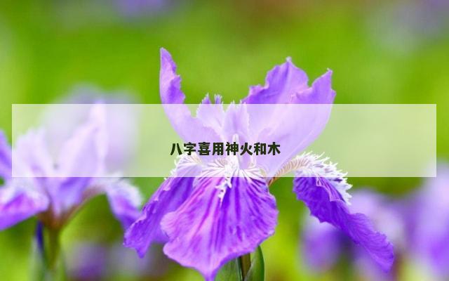 八字喜用神火和木