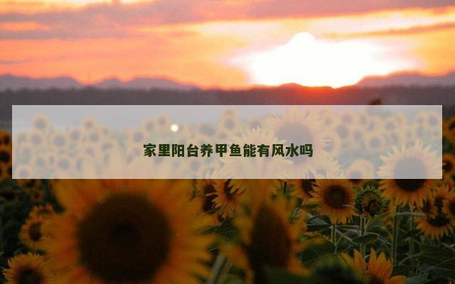 家里阳台养甲鱼能有风水吗
