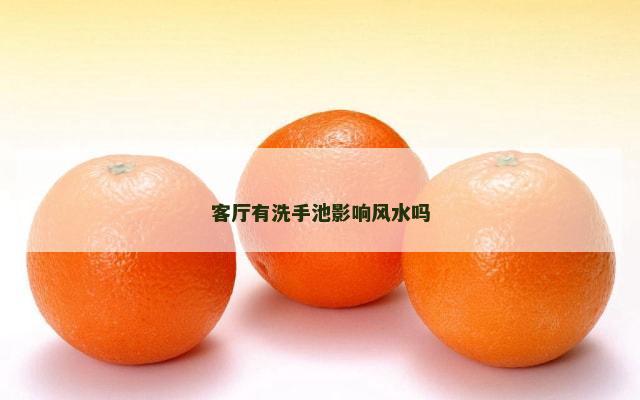 客厅有洗手池影响风水吗