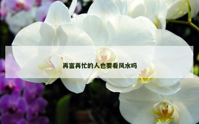 再富再忙的人也要看风水吗