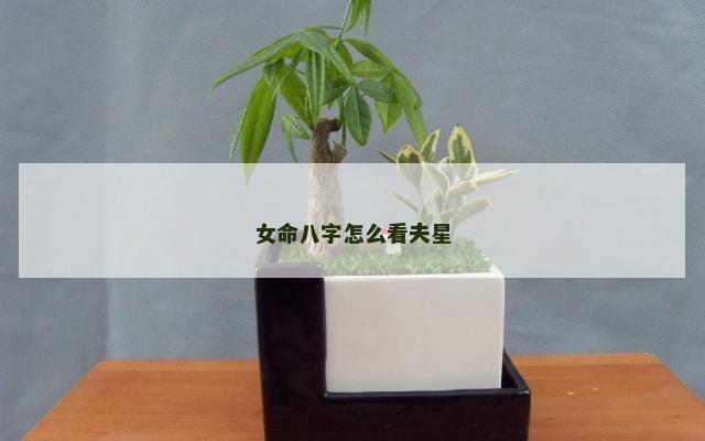 女命八字怎么看夫星