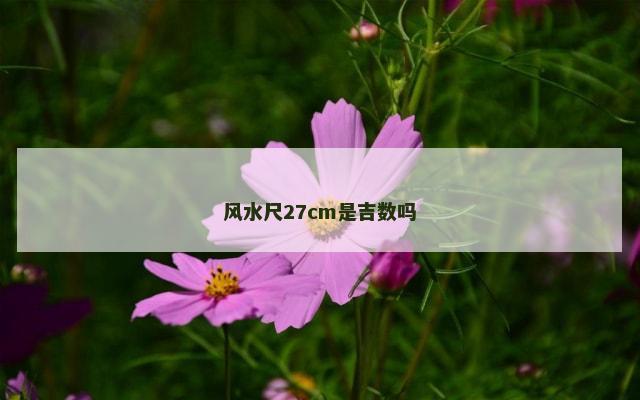 风水尺27cm是吉数吗
