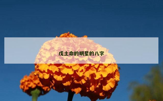 戊土命的明星的八字