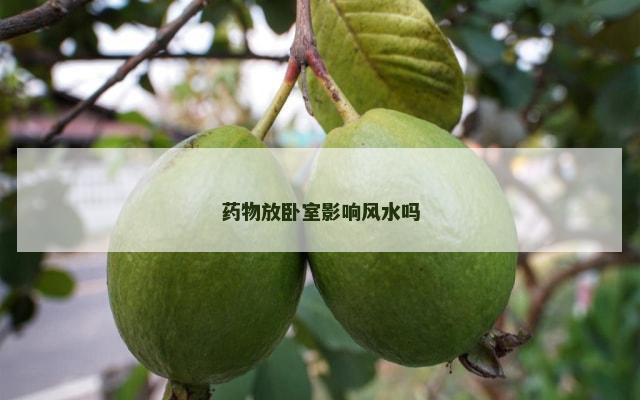 药物放卧室影响风水吗