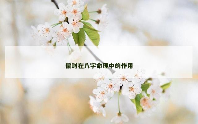 偏财在八字命理中的作用