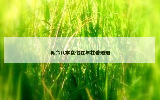 男命八字食伤在年柱看婚姻