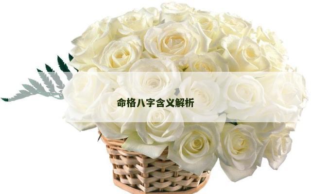 命格八字含义解析